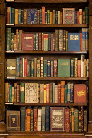 Bookshelves